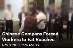 Chinese Company Forced Workers to Eat Roaches