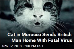 Rabies Kills Man Bitten by Cat While Overseas