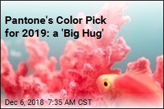 Pantone&#39;s Color Pick for 2019: a &#39;Big Hug&#39;