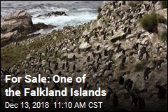 For Sale: One of the Falkland Islands
