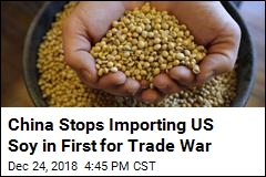 China Stops Importing US Soy in First for Trade War