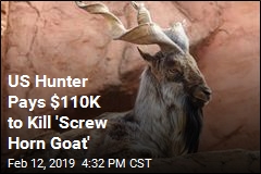 Trophy Hunter Pays $110K to Kill &#39;Screw Horn Goat&#39;