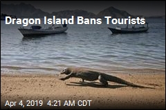 Dragon Island Bans Tourists