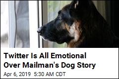 Mailman&#39;s Dog Story Is Making the Internet Cry