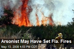 Arsonist May Have Set Fla. Fires