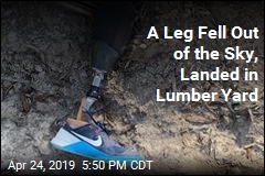 A Leg Fell Out of the Sky, Landed in Lumber Yard