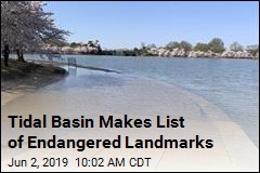 Tidal Basin Makes List of Endangered Landmarks