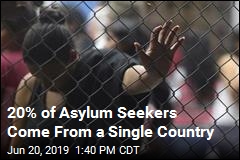 20% of Asylum Seekers Come From a Single Country