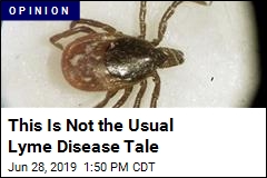 This Is Not the Usual Lyme Disease Tale