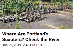 Portland Cops Pull Dozens of E-Scooters From River