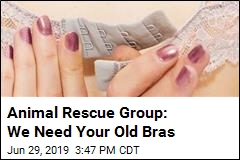 Animal Group: Your Old Bras Can Save Turtles