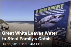 Great White Leaves Water To Steal Family&#39;s Catch