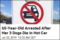 65-Year-Old Arrested After Her 3 Dogs Die in Hot Car