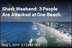 Sharks Attack 3 People in 24 Hours at Florida Beach