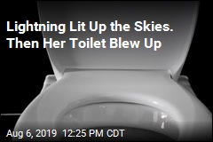 Lightning Lit Up the Skies. Then Her Toilet Blew Up