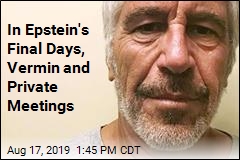 In Epstein&#39;s Final Days, Vermin and Private Meetings