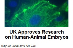 UK Approves Research on Human-Animal Embryos