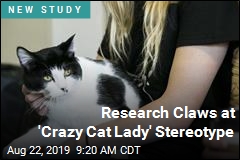 Research Claws at &#39;Crazy Cat Lady&#39; Stereotype