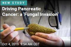 Driving Pancreatic Cancer: a &#39;Fungal Invasion&#39;