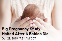 Big Pregnancy Study Halted After 6 Babies Die