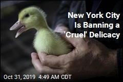 NYC Lawmakers Ban Foie Gras
