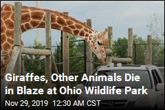 Exotic Animals Die in Ohio Barn Fire