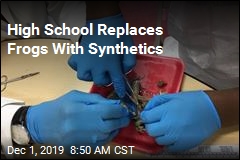 High School Replaces Frogs With Synthetics