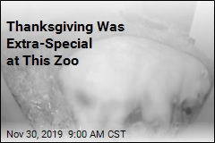 Thanksgiving Was Extra-Special at This Zoo