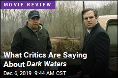 What Critics Are Saying About Dark Waters
