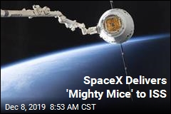 SpaceX Delivers &#39;Mighty Mice&#39; to ISS