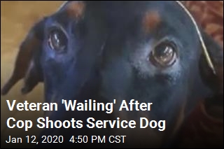 Police Officer Shoots Veteran&#39;s Service Dog