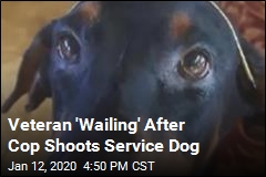 Police Officer Shoots Veteran&#39;s Service Dog