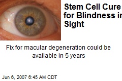 Stem Cell Cure for Blindness in Sight