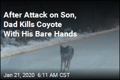 Father Strangles Coyote That Attacked Son