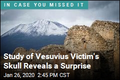 Vesuvius May Have Turned Victim&#39;s Brain to Glass
