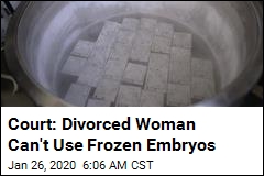 Court: Divorced Woman Can&#39;t Use Frozen Embryos