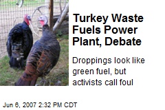 Turkey Waste Fuels Power Plant, Debate