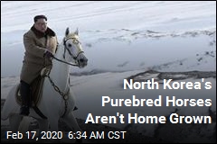 North Korea Turned to Russia for Its White Stallions