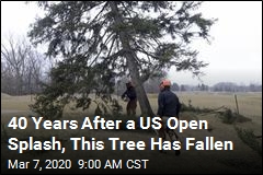 Tree That Upended &#39;79 US Open Is Upended Itself