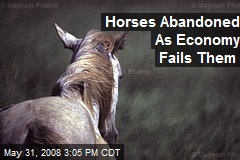 Horses Abandoned As Economy Fails Them