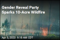 Gender Reveal Party Manages to Spawn Wildfire