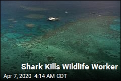 Shark Kills Wildlife Worker