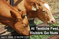 At Testicle Fest, Visitors Go Nuts