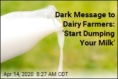 Dark Message to Dairy Farmers: &#39;Start Dumping Your Milk&#39;