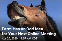 Farm Has an Odd Idea for Your Next Online Meeting