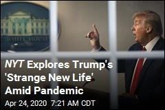 NYT : This Is How Trump Spends His Day Amid Pandemic