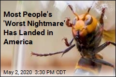 Most People&#39;s &#39;Worst Nightmare&#39; Has Landed in America