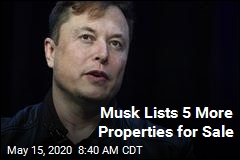 Musk Lists 5 More Properties for Sale