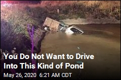 You Do Not Want to Drive Into This Kind of Pond