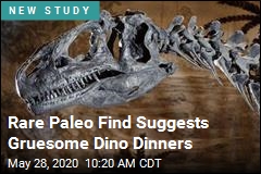 Some Dinosaurs Resorted to Cannibalism